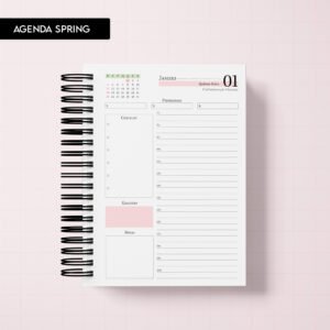 Miolo digital - Agenda Spring 2027